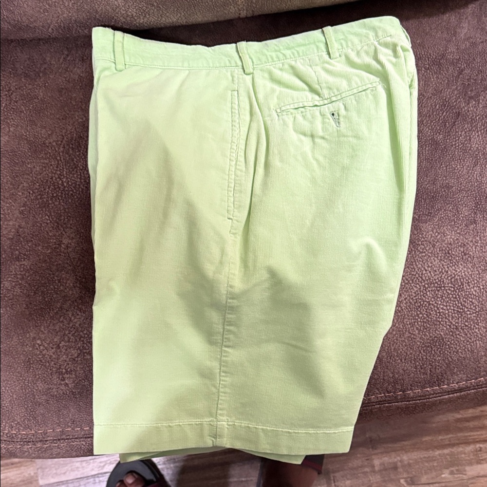 Polo by Ralph Lauren Men's Mint Green Shorts